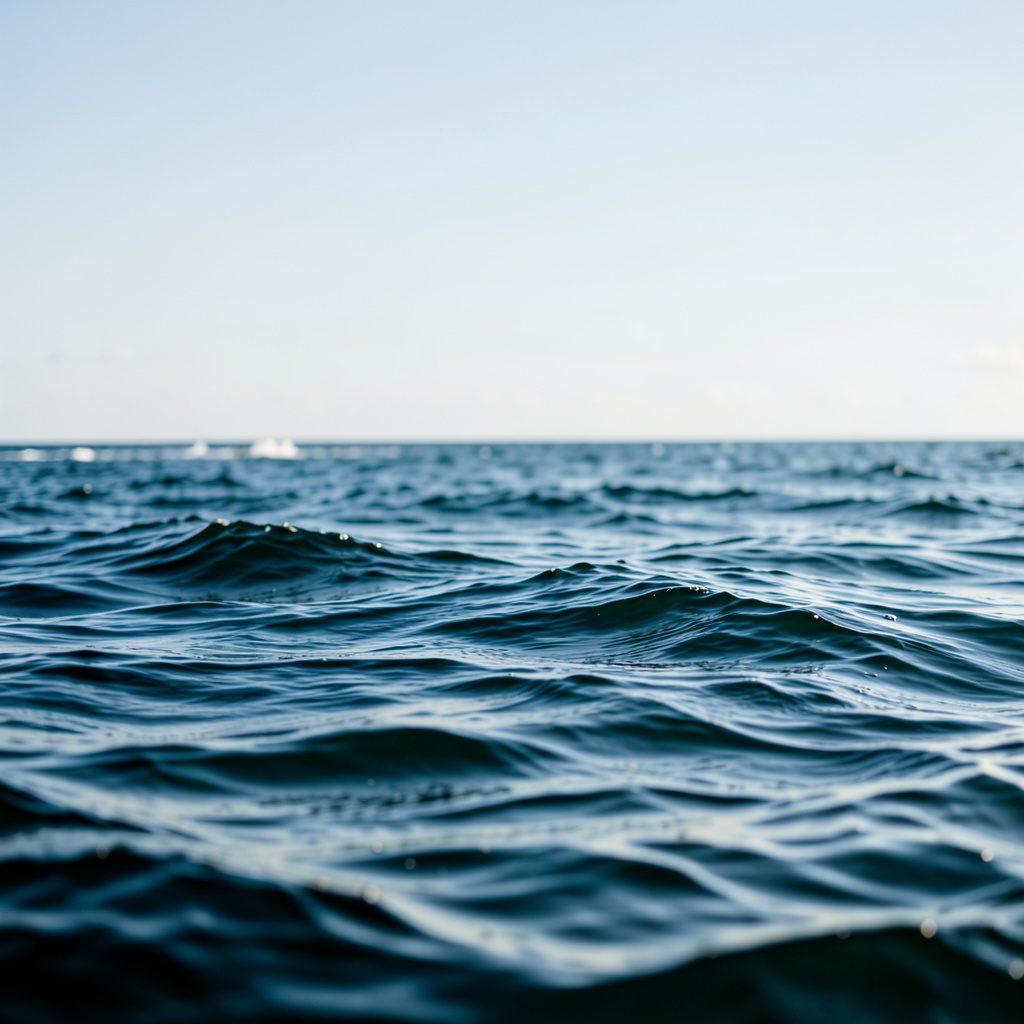 tide 086